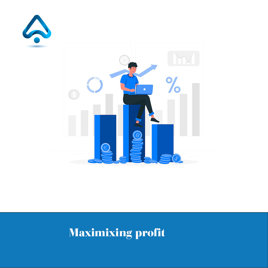 maximize profit with seo